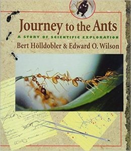 Books about Ants - Journey