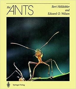 Books about Ants - Ant Bible