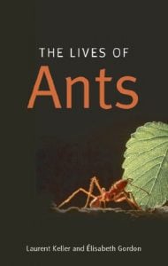 Books about Ants - Lives