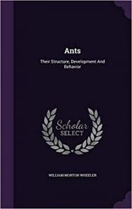 Books about Ants - Wheeler