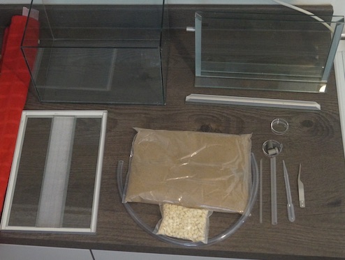 starter kit ant farm